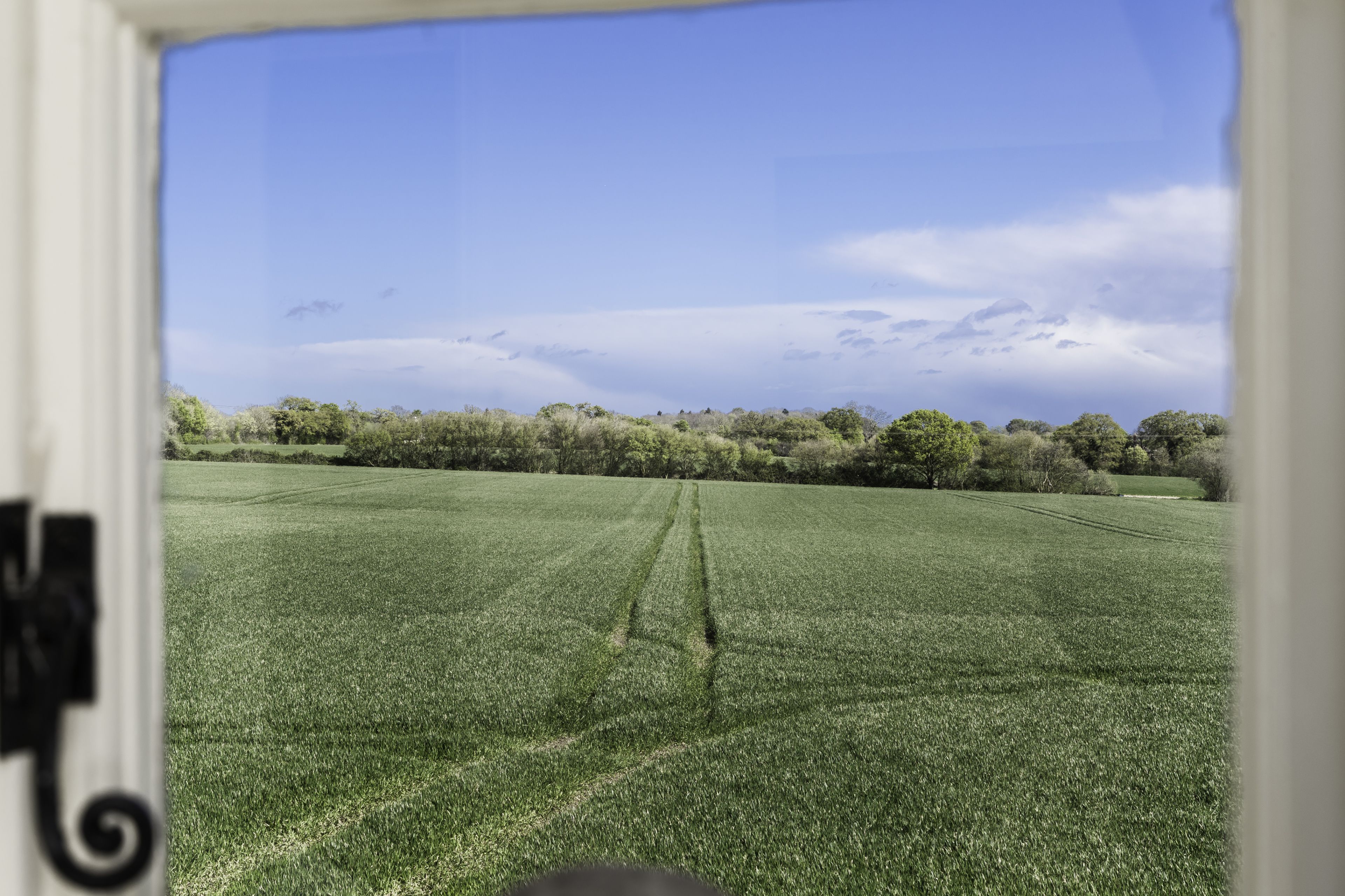 Window view of green fields with tractor tracks