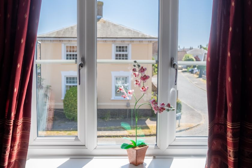Window view with orchid plant