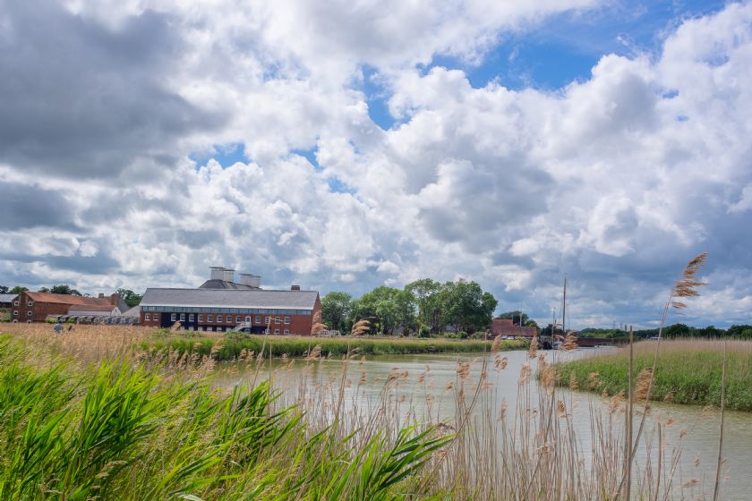 Coastal scene with buildings, reeds and water